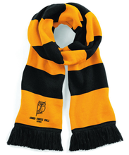 Load image into Gallery viewer, Armed Forces Owls Stadium Scarf