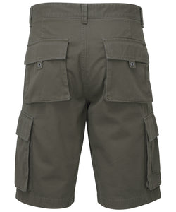 Fullboreuk Cargo Shorts